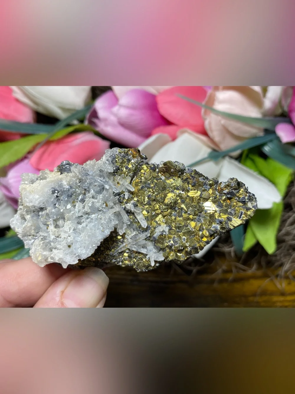 Skeletal Quartz & Pyrite